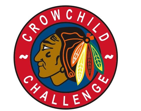 CROWCHILD CHALLENGE  ATOM 1 or AA